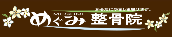 めぐみ整骨院